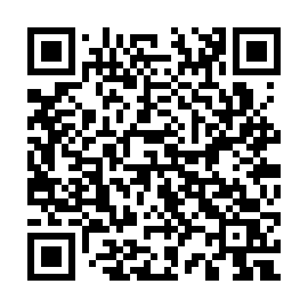 QR code for 523SVS