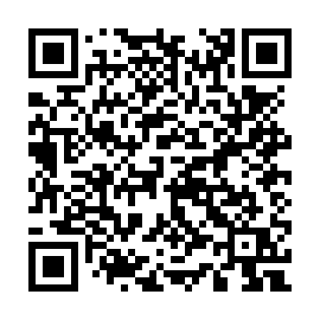 QR code for 530NQQ