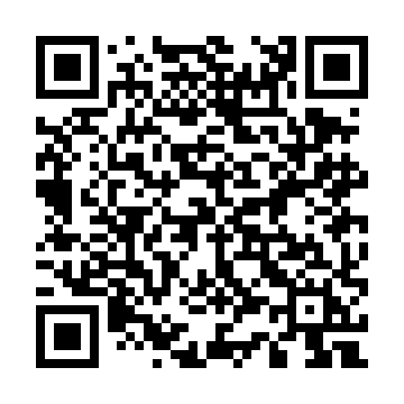 QR code for 533DHH