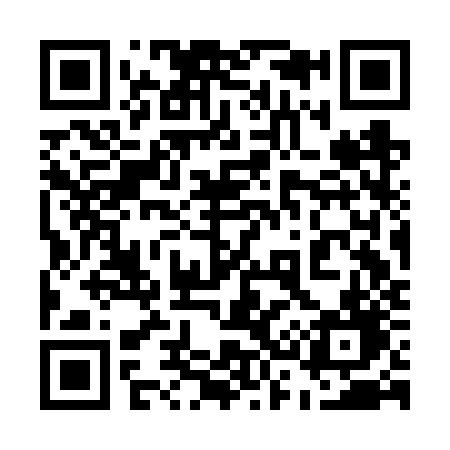 QR code for 533FZD