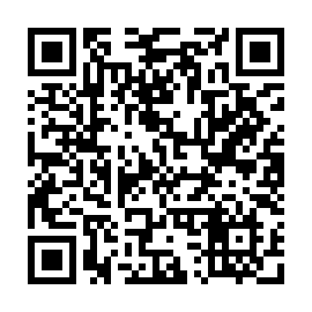 QR code for 533IIN