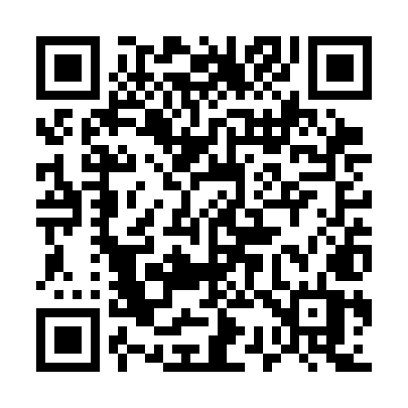QR code for 533SMT