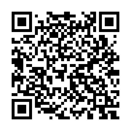 QR code for 533SSI