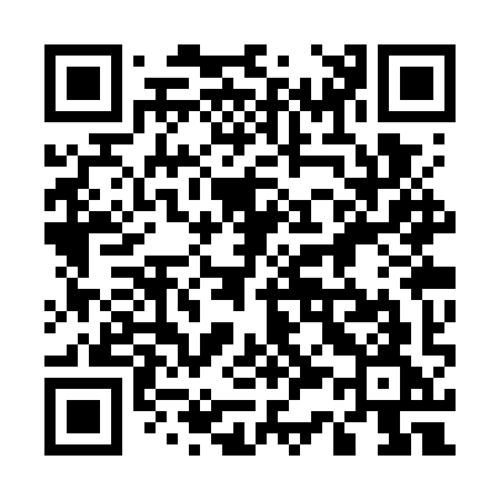 QR code for 533WYG