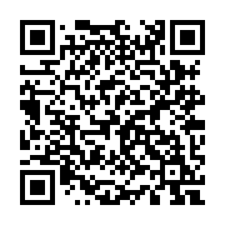 QR code for 533XIM