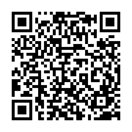 QR code for 541JUV