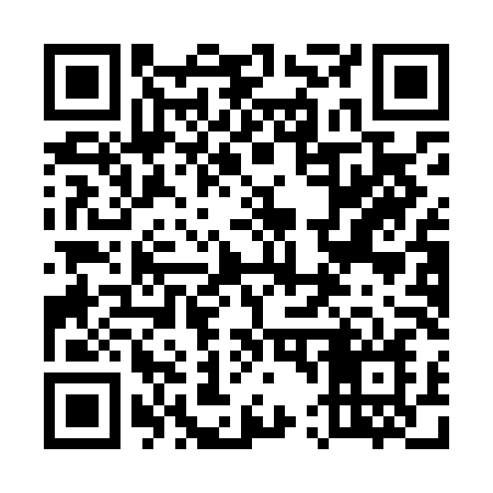 QR code for 541LLN
