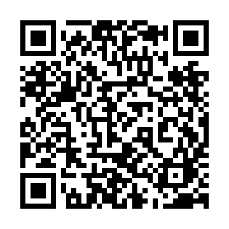 QR code for 541NIC