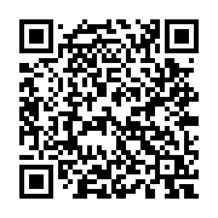 QR code for 541PYR