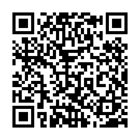 QR code for 542PCS