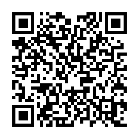 QR code for 545LSI