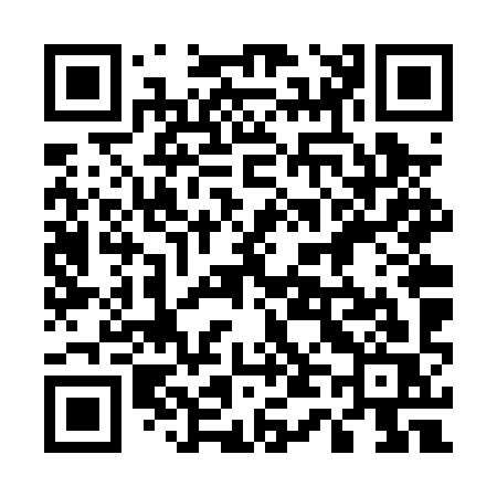 QR code for 546PYS