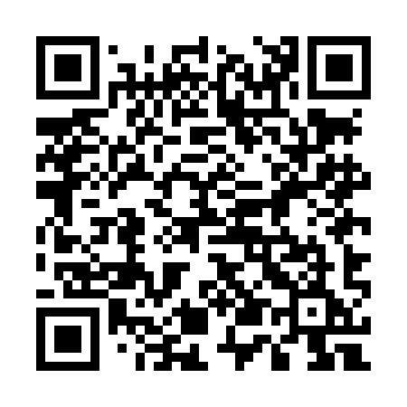 QR code for 555LIE