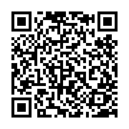 QR code for 593DMZ