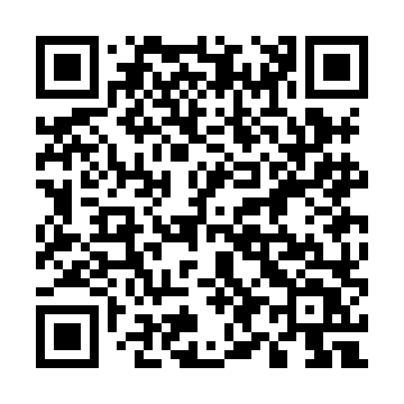 QR code for 593HLT