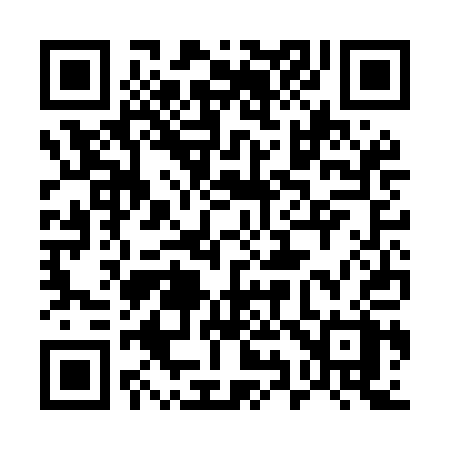 QR code for 593MAX
