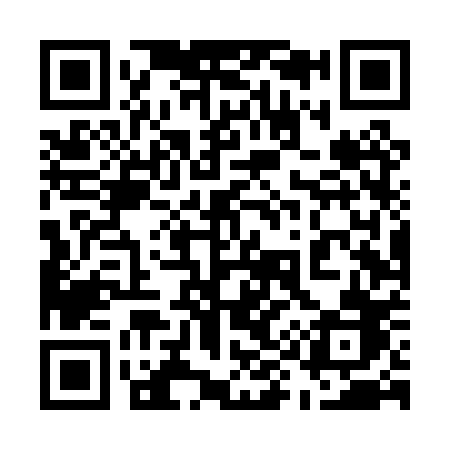 QR code for 594PPB