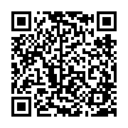 QR code for 595FLO