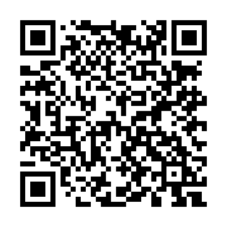 QR code for 595LBK