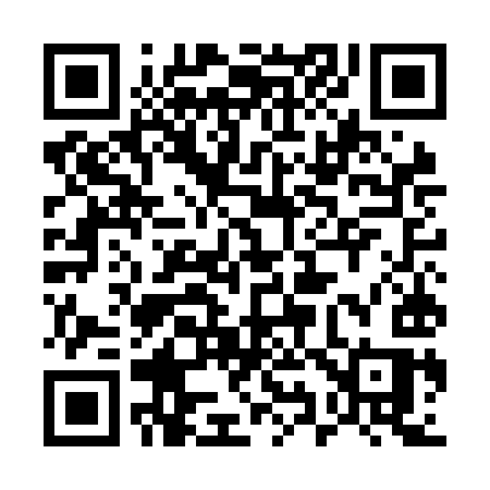 QR code for 595NIS