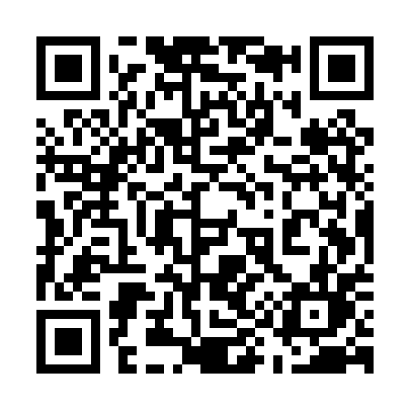 QR code for 595PPL