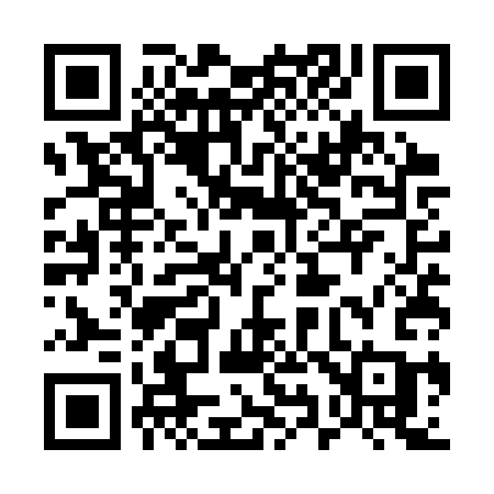 QR code for 595SSC