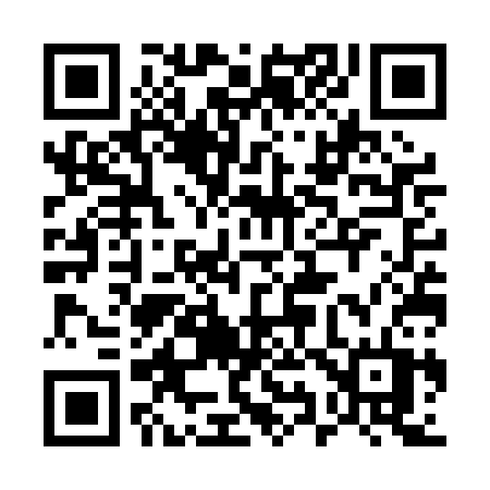 QR code for 597PCT