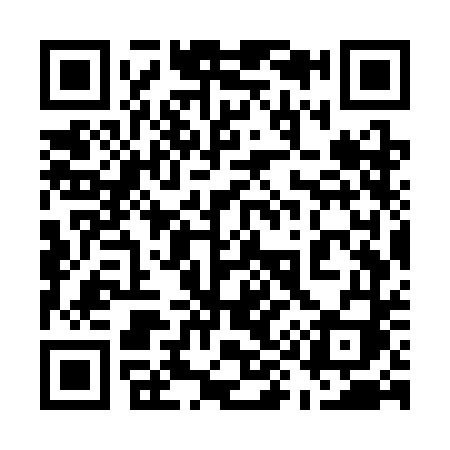 QR code for 597SDI