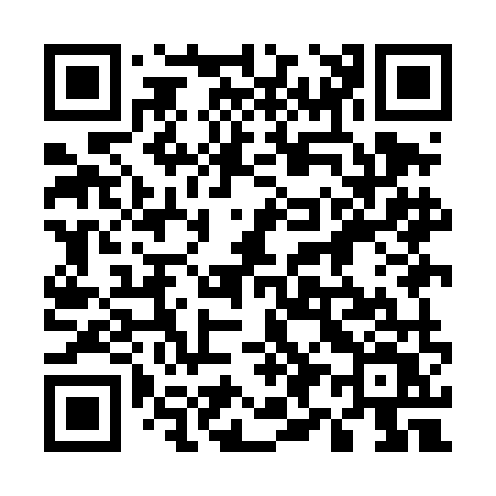 QR code for 599DMV