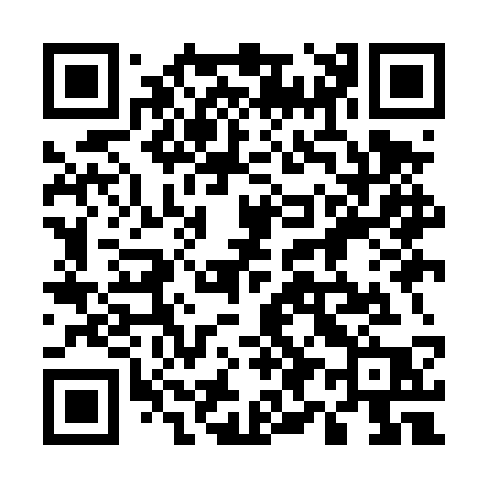 QR code for 599DSP