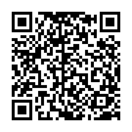 QR code for 599QLX