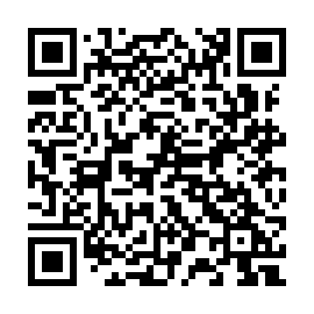 QR code for 603IBG