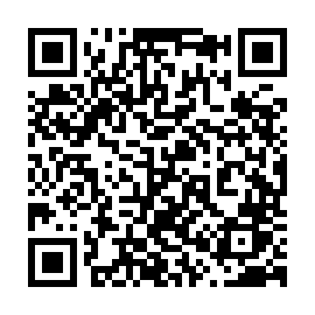 QR code for 608INR