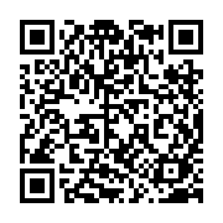 QR code for 611SIM