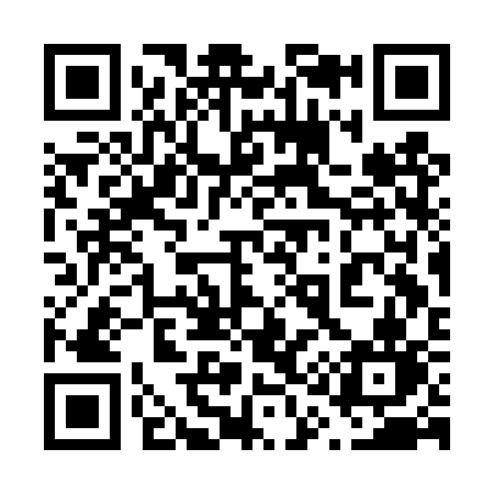 QR code for 613DSN