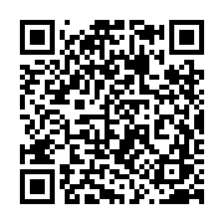 QR code for 613SFS