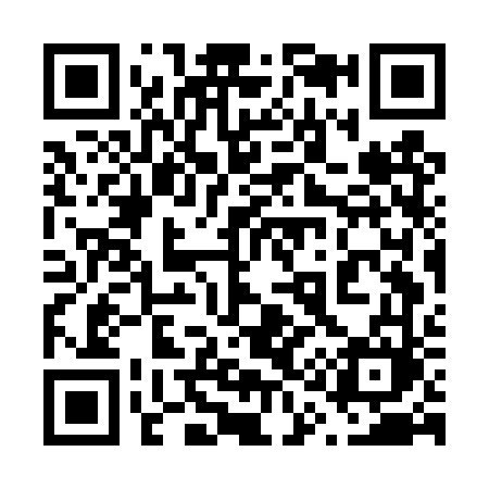QR code for 617DVM