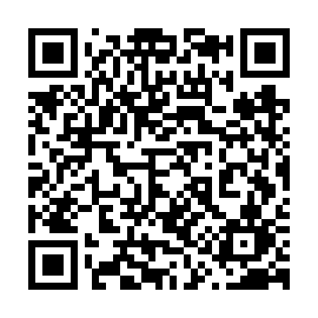 QR code for 617FSN