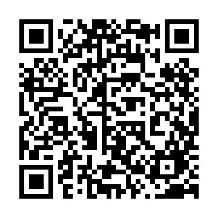 QR code for 628PIG
