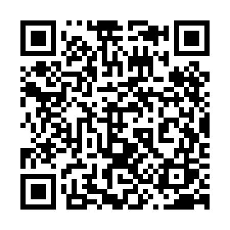 QR code for 633PGS
