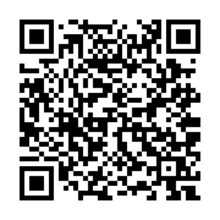 QR code for 636PMS