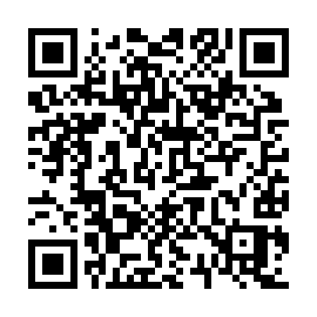 QR code for 636ZYS