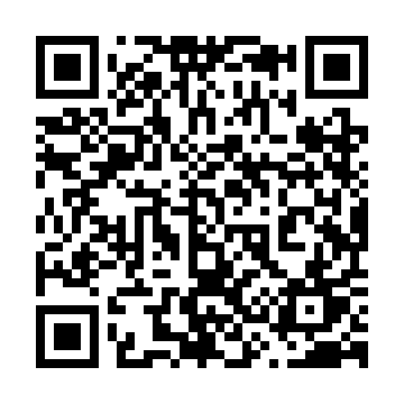 QR code for 638SAT