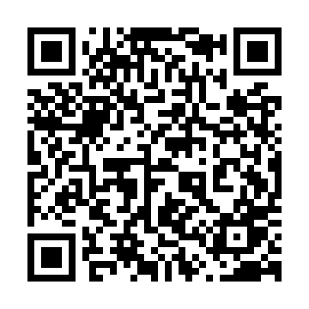 QR code for 641OPW