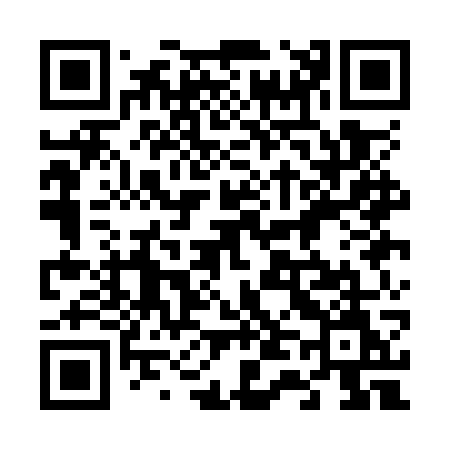 QR code for 641OWM