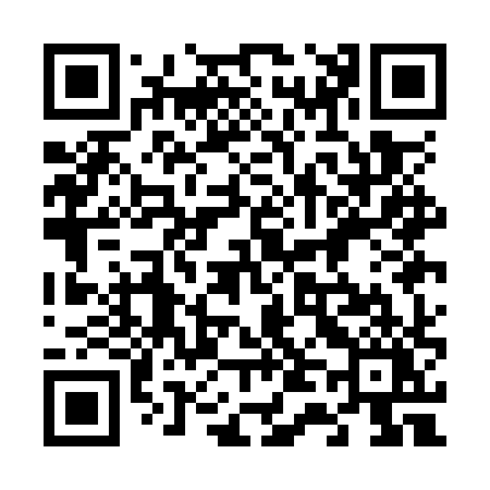 QR code for 641OXY