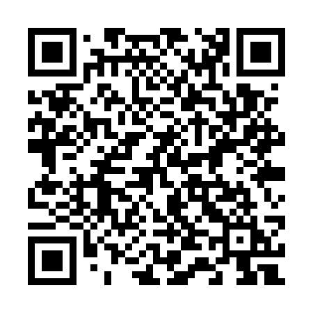QR code for 641USI