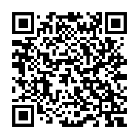 QR code for 641WPO