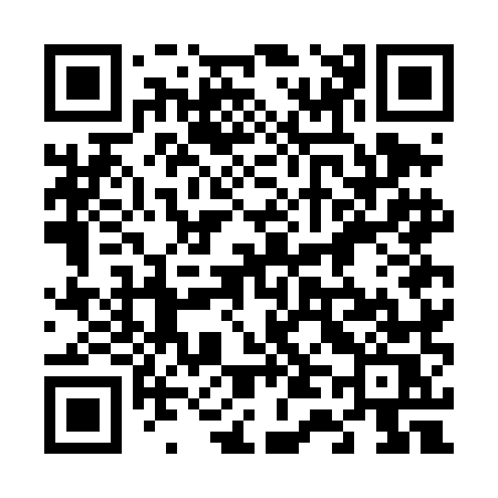QR code for 647DMS