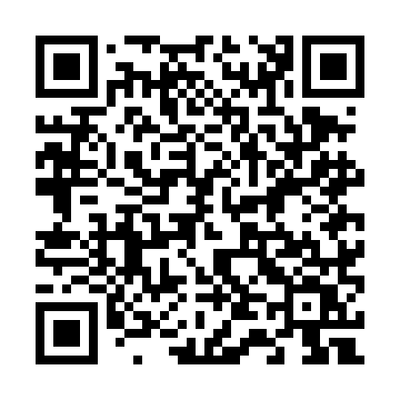 QR code for 647DMV
